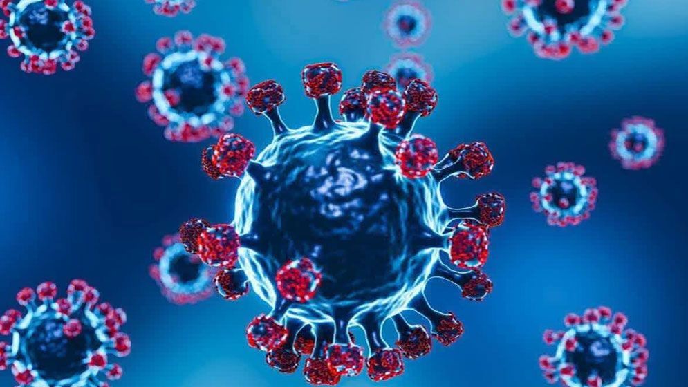 গত ২৪ ঘণ্টায় ২১ জনের করোনা শনাক্ত, নেই মৃত্যু